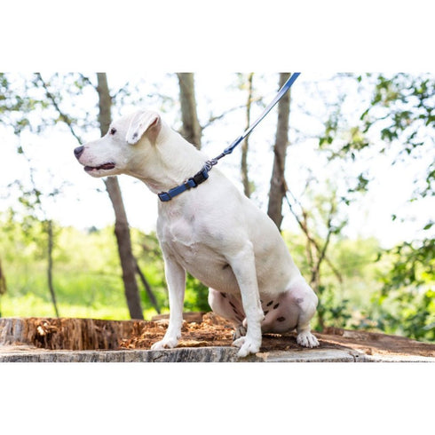 Euro Dog Waterproof Nylon Dog Leash Soft PVC Coated Navy - Poudre Pet & Feed Supply 2
